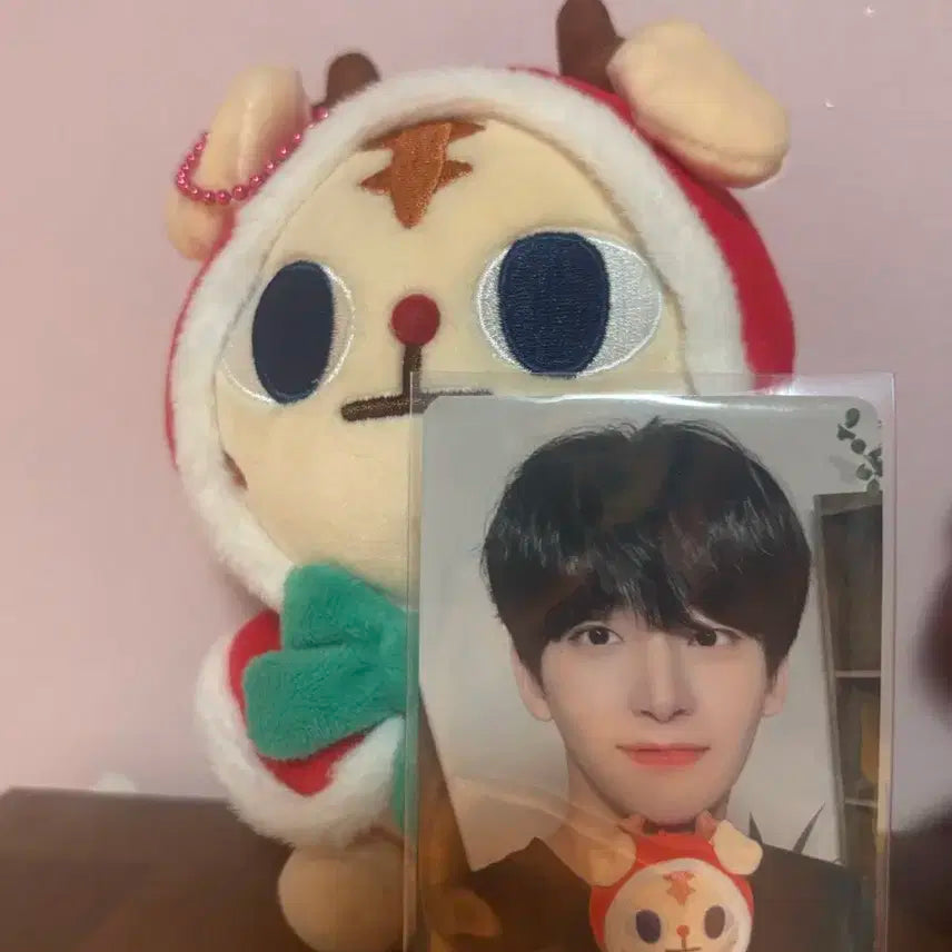 크래비티 랑모인형(공굿)(덤많이드려요!)