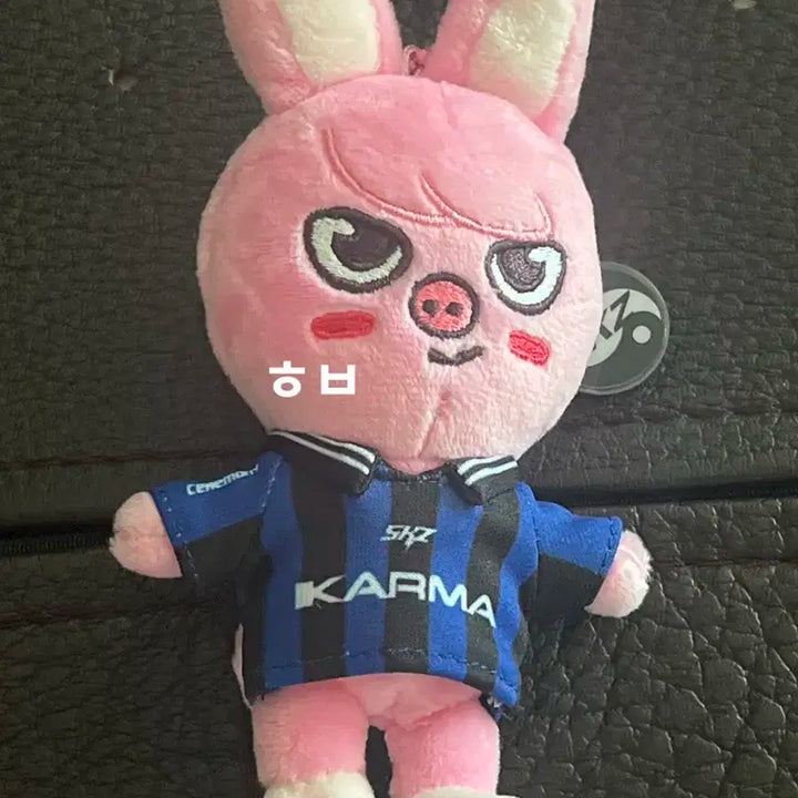 스트레이키즈 스키주 skzoo 인형+ 특전 창빈