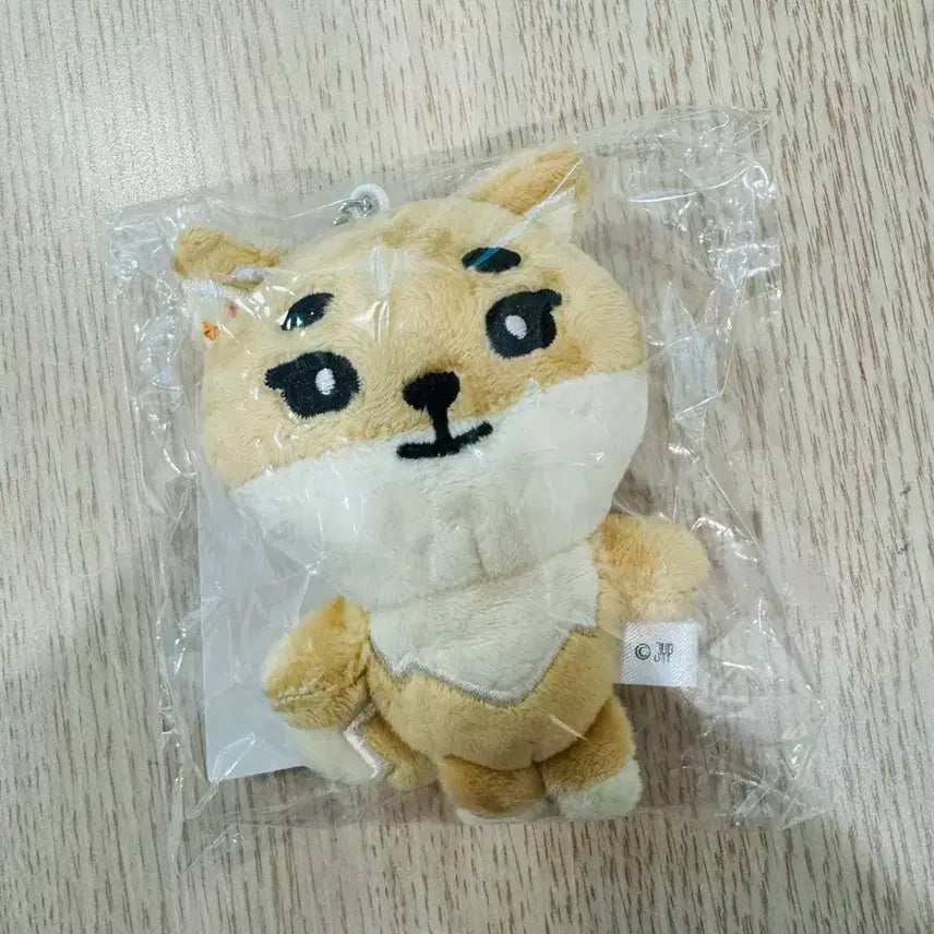 데이식스 일본 굿즈 백참