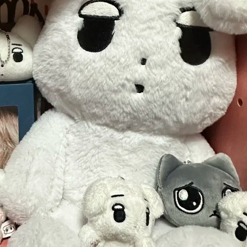 왕직직이
