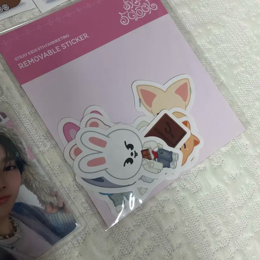 스키즈 막콘 팬미팅 스테이존 포카 양도