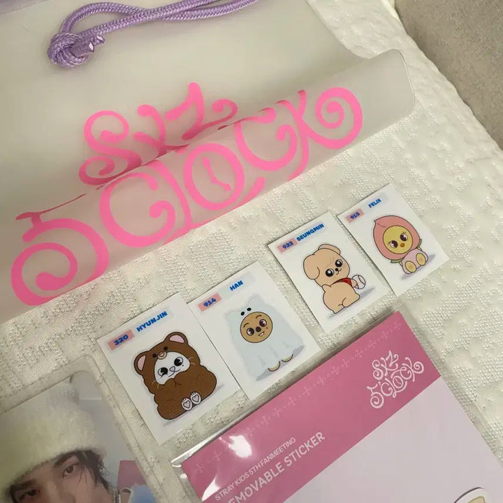 스키즈 막콘 팬미팅 스테이존 포카 양도