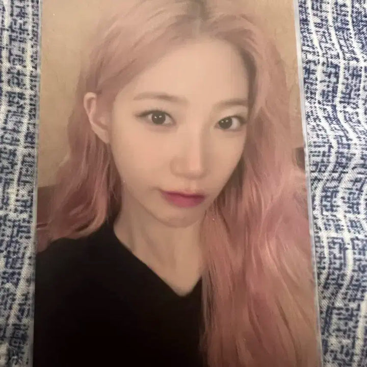 르세라핌 카즈하 콘서트 포카