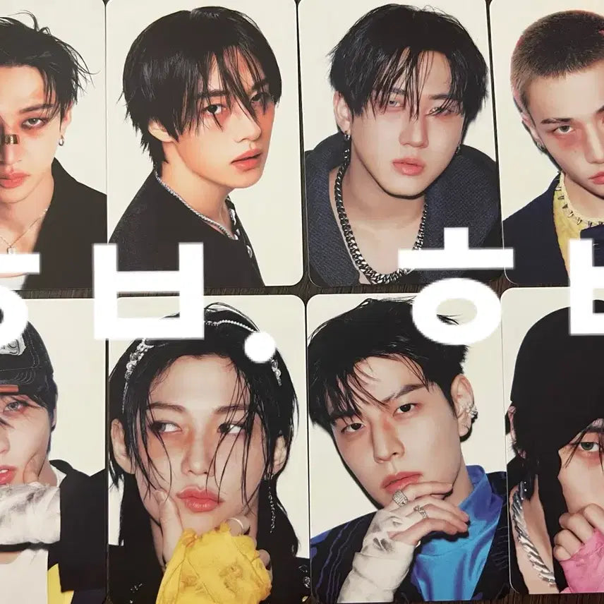 스트레이키즈 스키주 skzoo 버전 앨포 8장 세트