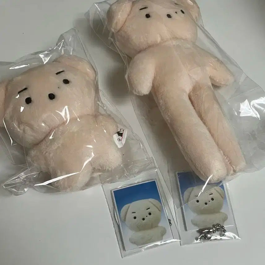 데이식스 도운 10cm인형 윤돗개 롱돗개 (특전포함)미개봉