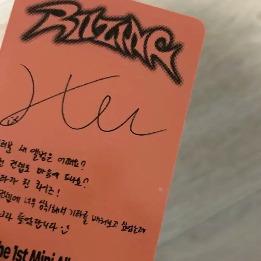 라이즈 포카 양도 성찬소희원빈쇼타로