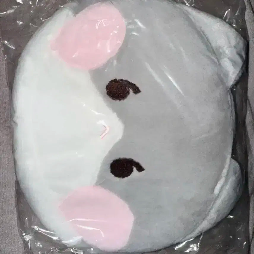 샤이니 태민 꿍이 가방