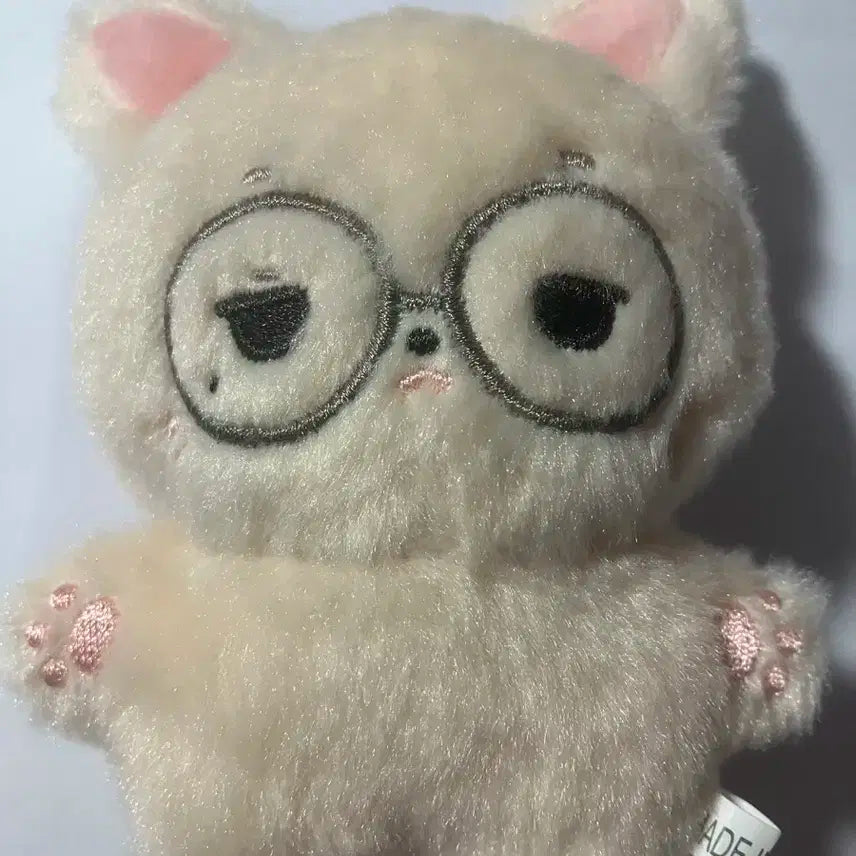 세븐틴 원우 사막눙 양도