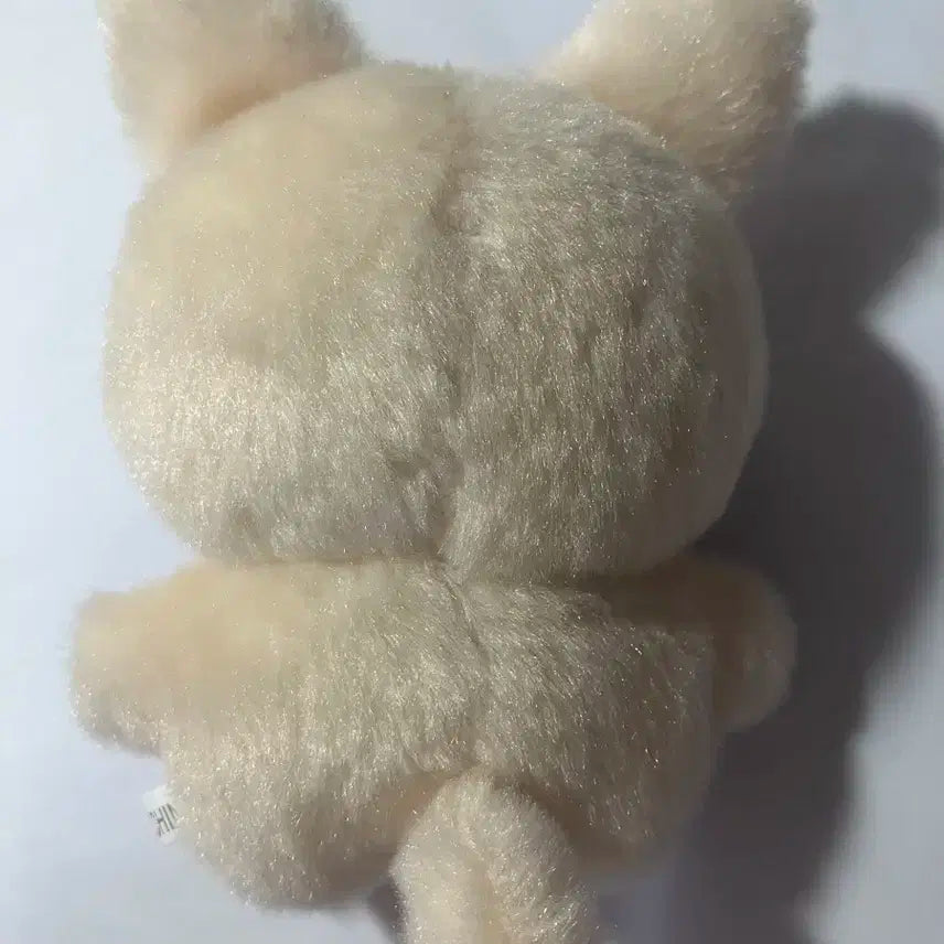 세븐틴 원우 사막눙 양도