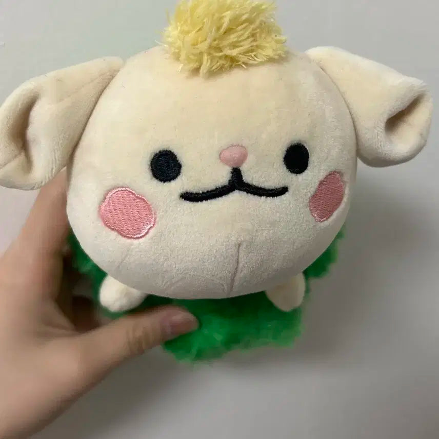크래비티) 터리인형