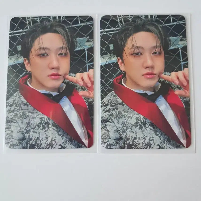 창빈 아코디언 카르마