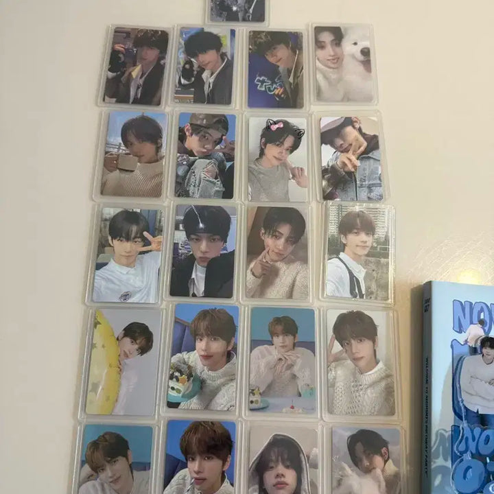 투어스 신유 , 도훈 포카 일괄 판매