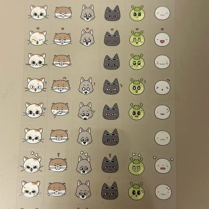 보이넥스트도어 쁘넥도 스티커