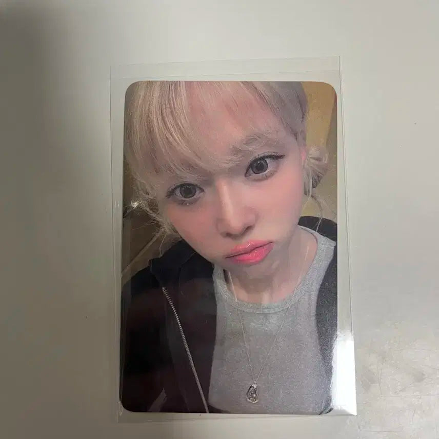 에스파 아마겟돈 블루드림 윈터