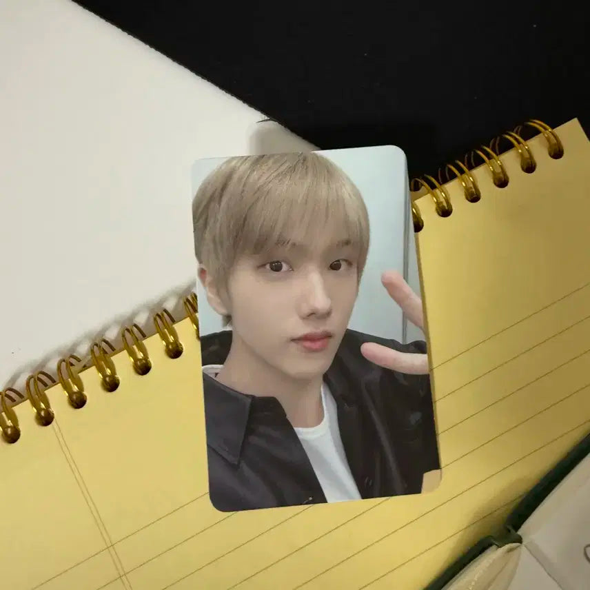 엔시티 지성 포카 산리오 포카 포토카드
