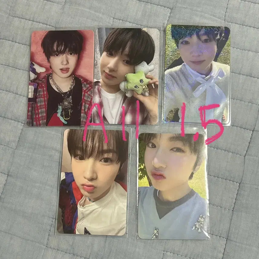 사쿠야 포카 일괄 처분 엔시티위시 위츄 스테디 스미니