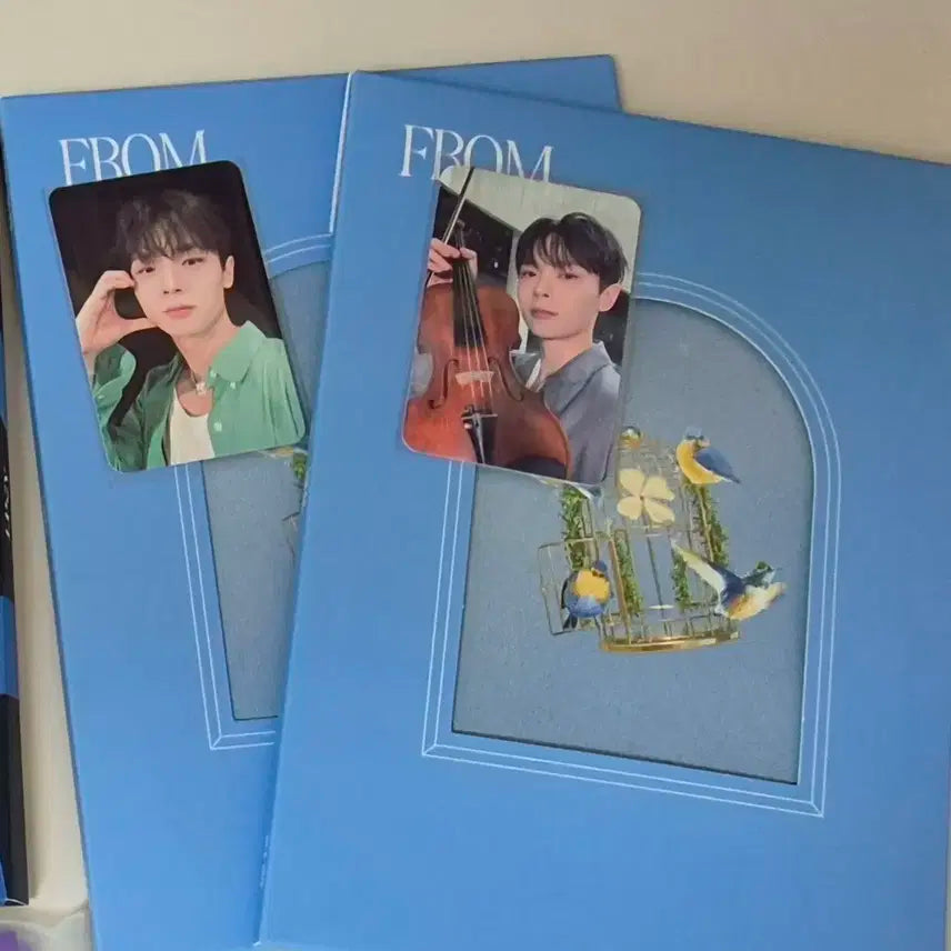 루시 프롬 앨범