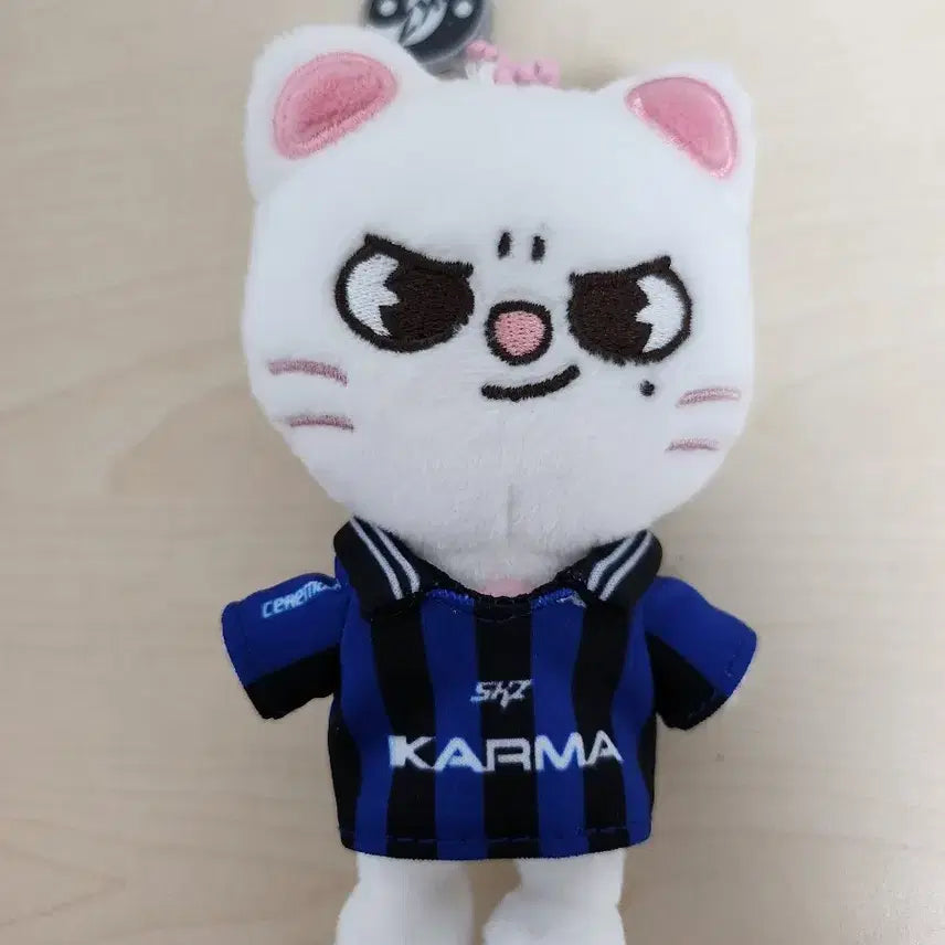 스키즈 카르마 스키주 지니렛