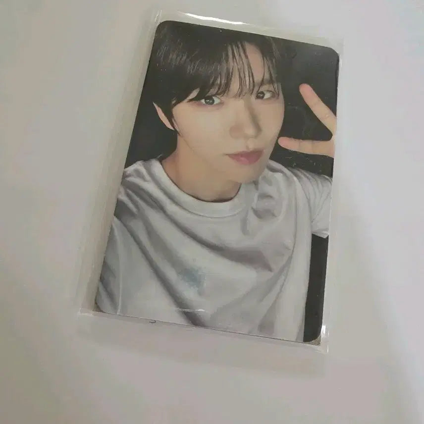 엔시티 위시 재희 전시회 티셔츠 포카 특전 양도