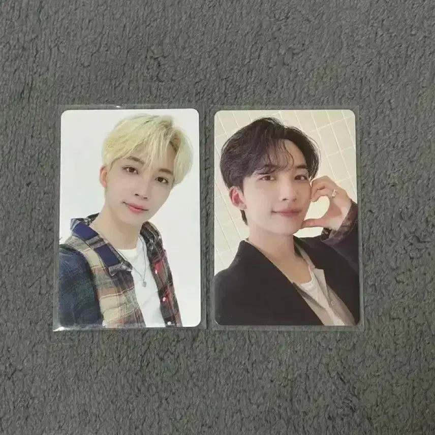 세븐틴 정한 시즌그리팅 포카 일괄