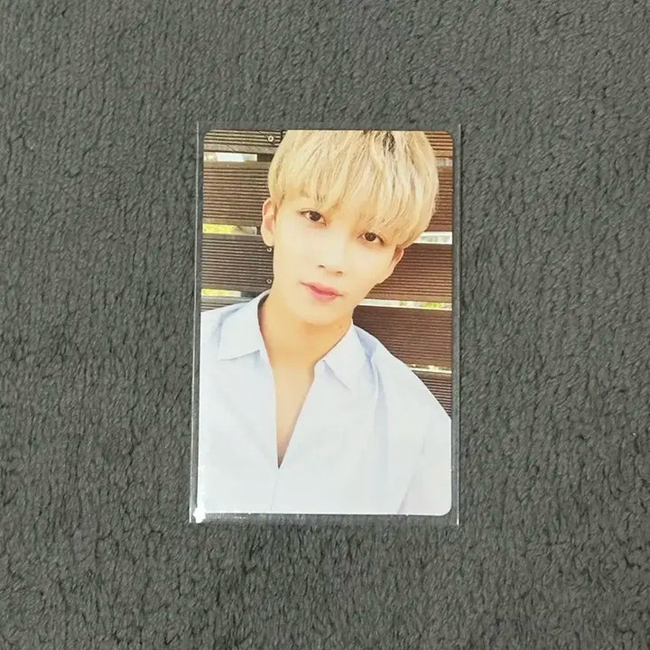 세븐틴 정한 박수 틴에이즈 포카