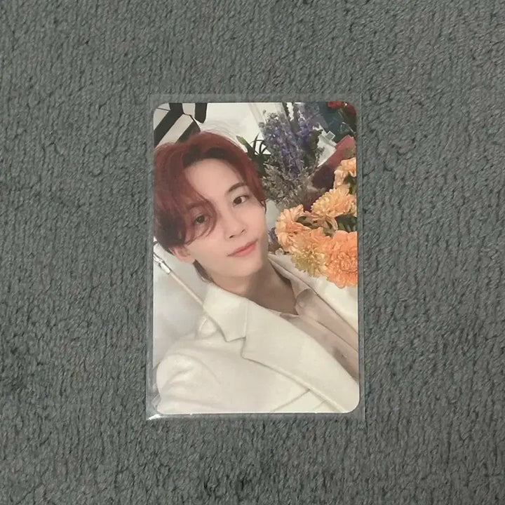 세븐틴 정한 홈 유초 포카 일괄