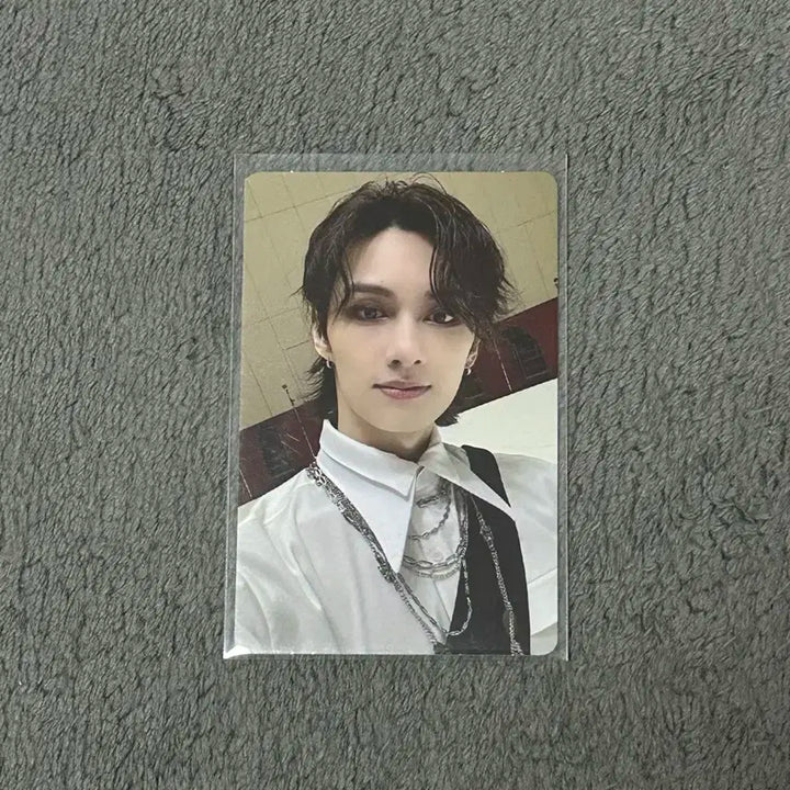 세븐틴 준 17 right here 마에스트로 키트 포카