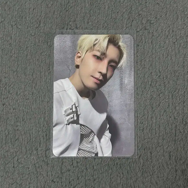 세븐틴 원우 핫 페더썬 포카