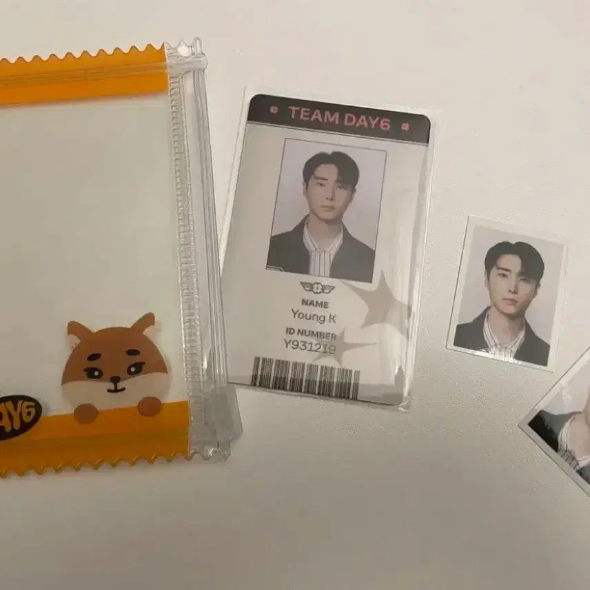 데이식스 데니멀즈 팝업 영케이 라이렌스 증사