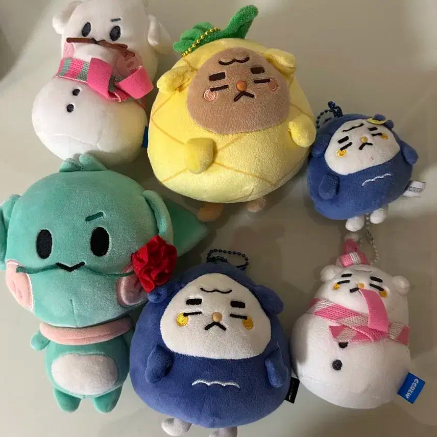 크래비티 크크루 용티 강몽이