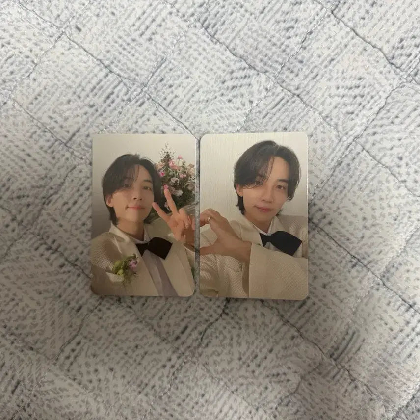 세븐틴 FML 캐럿반 정한 일괄