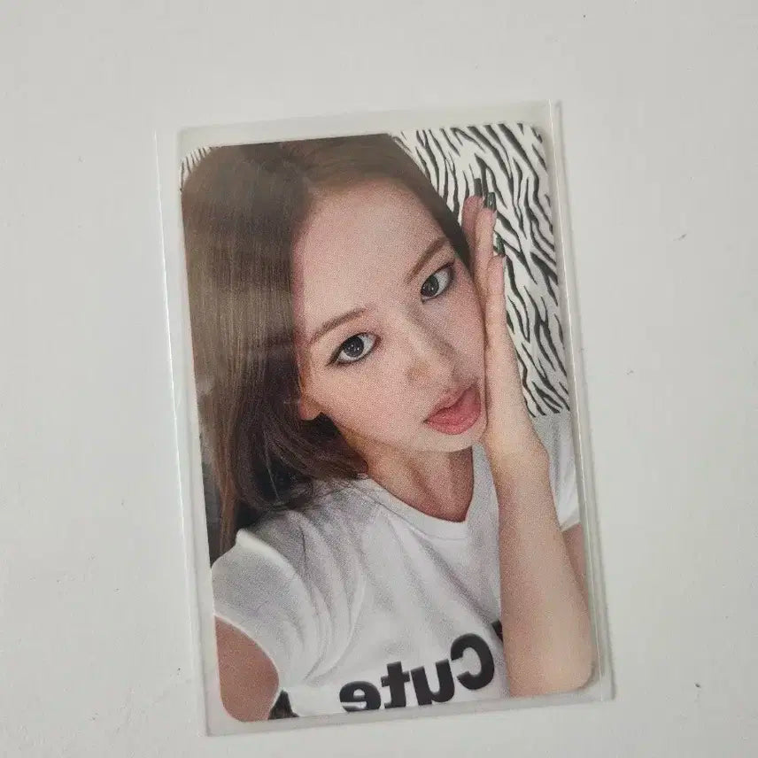 아이브 안유진 시크릿 사운드웨이브 사웨 럭키드로우 포토카드