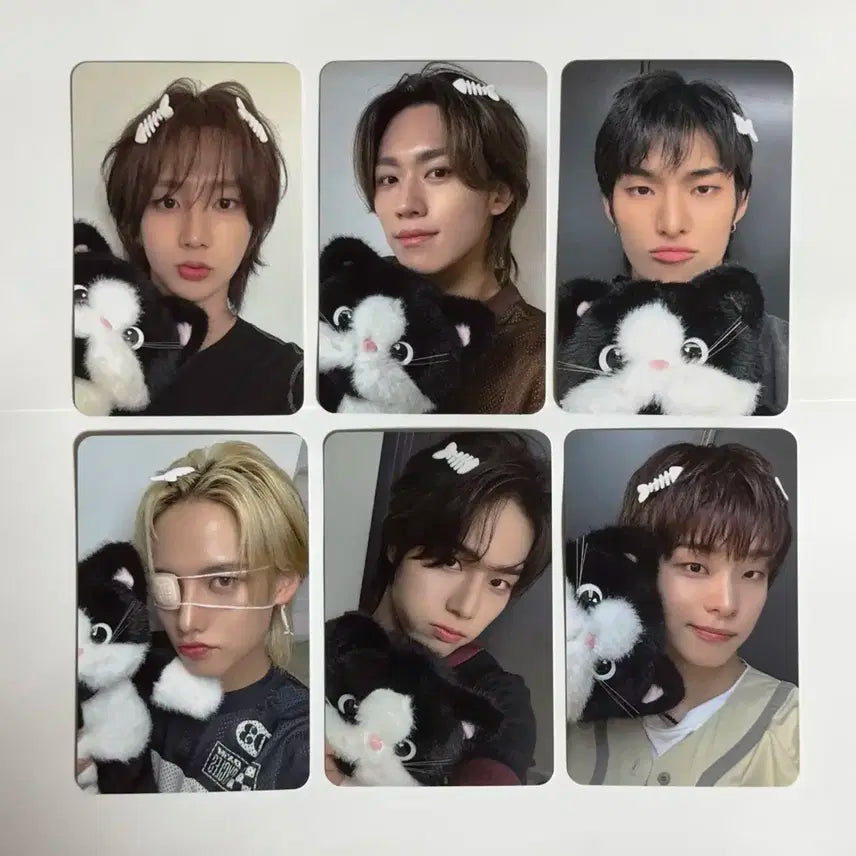 82major 에투메 헬로라이브 고양이 미공포