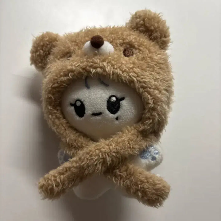 사진 전부 양도,) 세븐틴 승관 부베어 인형 양도 정한 캐럿반