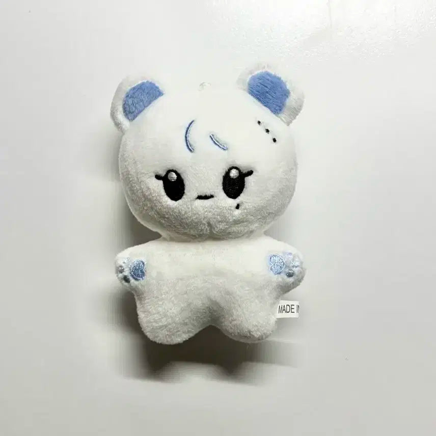 사진 전부 양도,) 세븐틴 승관 부베어 인형 양도 정한 캐럿반