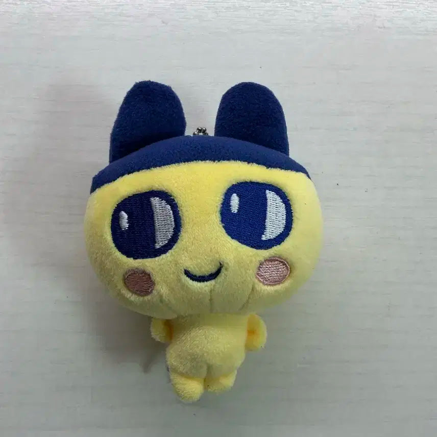 라이즈 은석 마메치 인형 엔시티 위시 시온