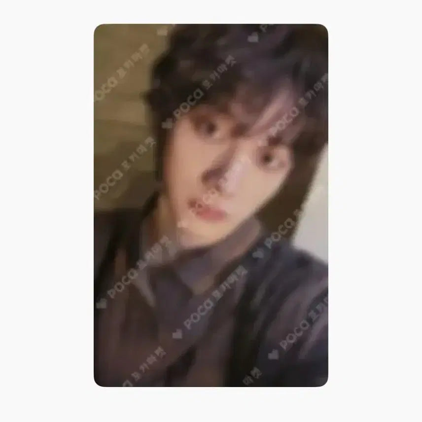보넥도 성호 포카판매