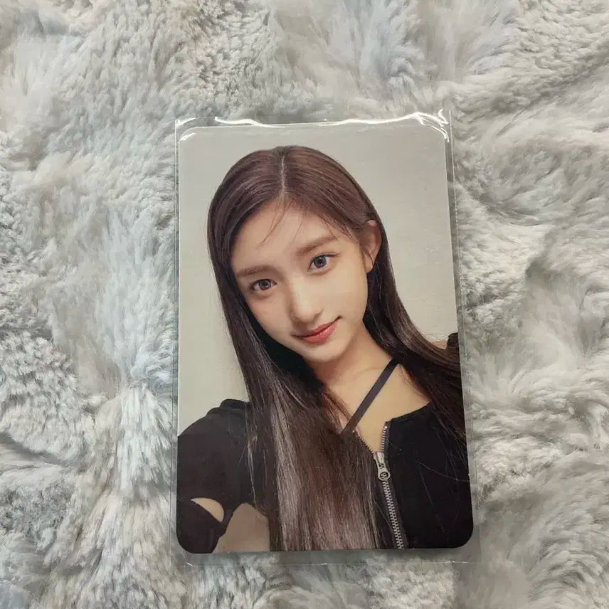 아이브 이서 일레븐 포카