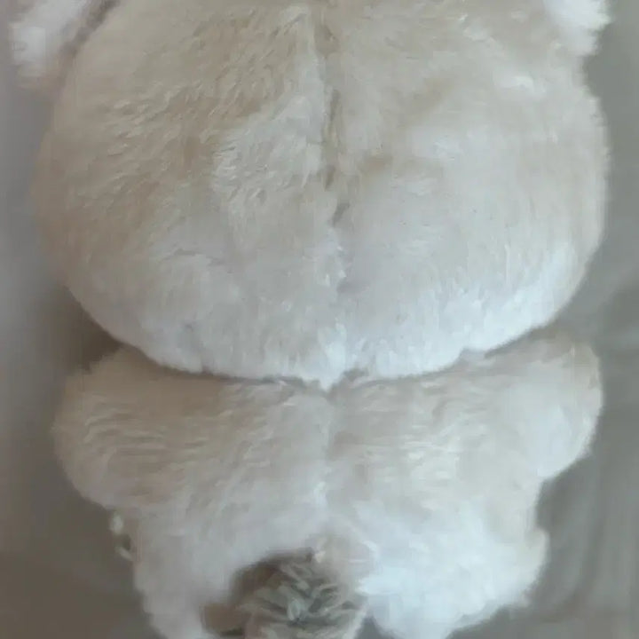 세븐틴 호시 호찌