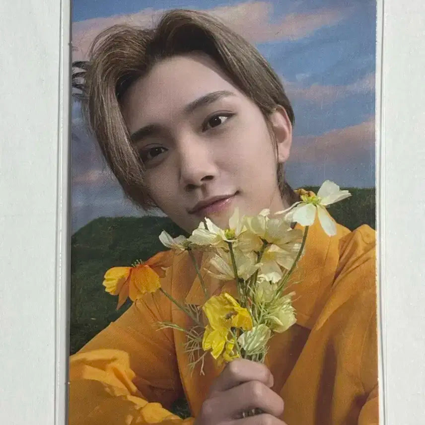 세븐틴 조슈아 포카