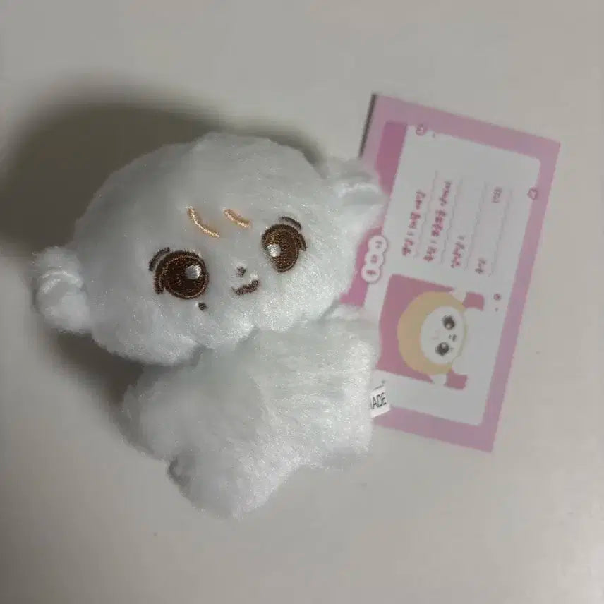 세븐틴 정한 인형 퐁하니 양도