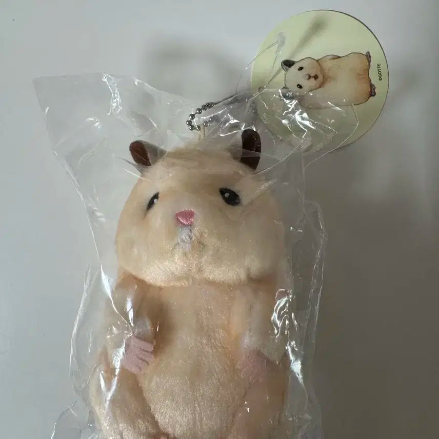 뚱쭝햄 성한빈 인형