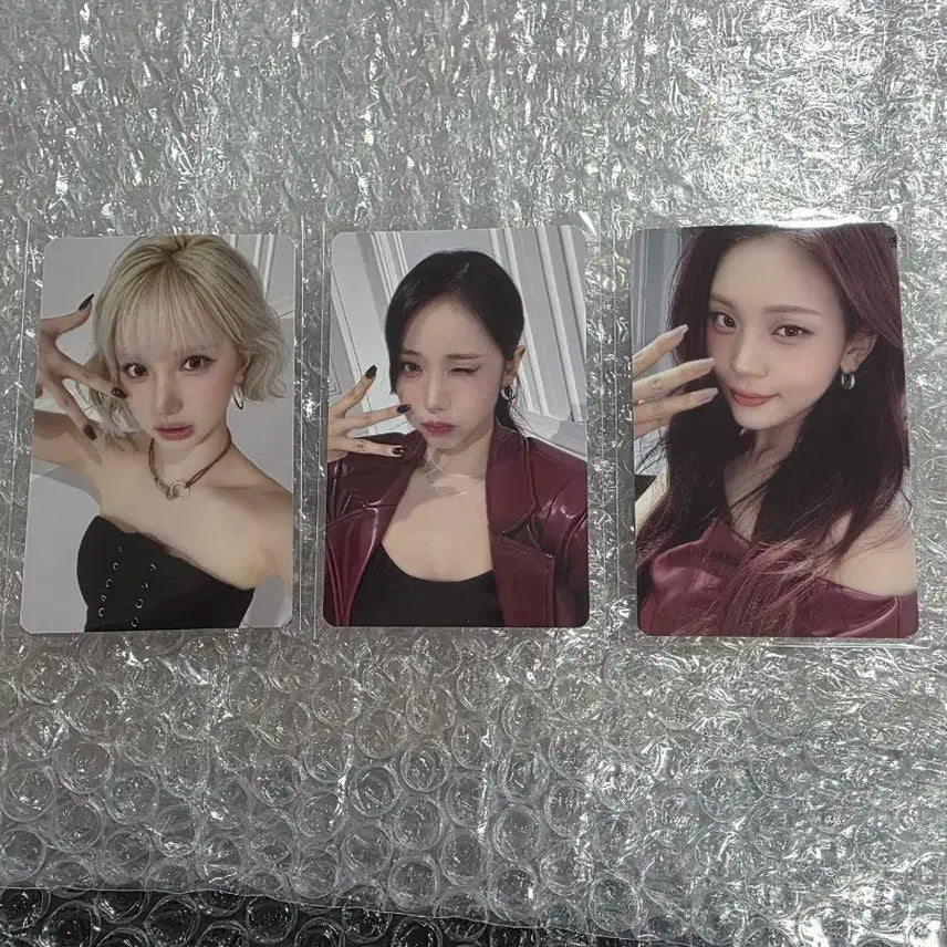 2025 비비지 월드 투어 콘서트 MD 특전 포토카드 세트