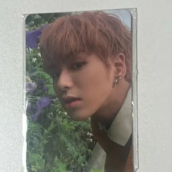 트레저 포카 윤재혁 포카