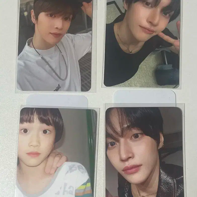 라이즈 포카 원빈 성찬 박원빈 정성찬