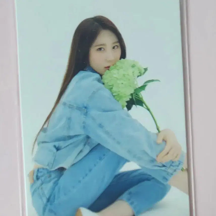 아이즈원 이채연 채연 포카 포토카드 IZONE 엠디 앨범 음반 MD