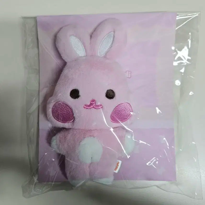 미개봉) 애니티즈 떵별이 플랫퍼 인형 에이티즈 성화 포카 포함
