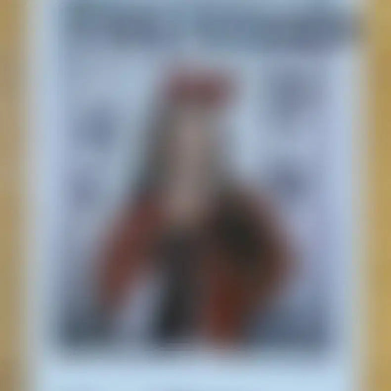 트라이비 지아 크리스마스 싸인 폴라 폴라로이드 TRIBE TRI.BE