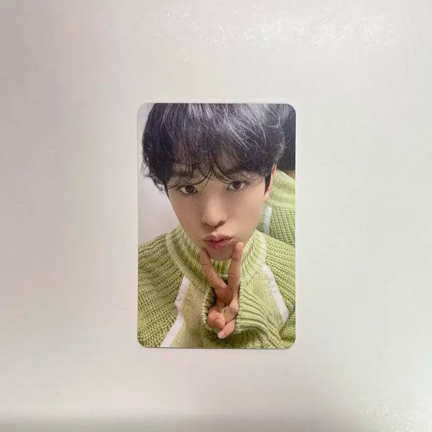 스테디 애플뮤직 유우시 포카