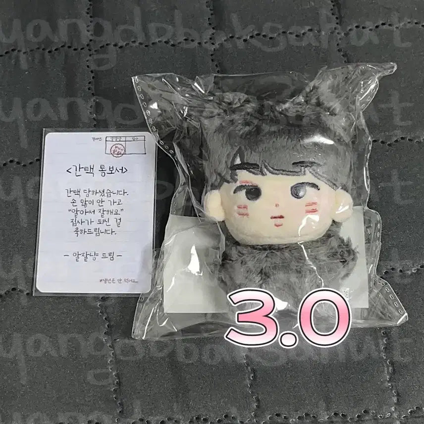 세븐틴 원우 인형 알잘냥 양도